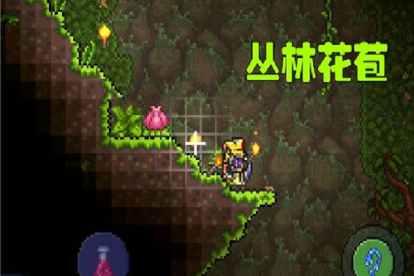 泰拉瑞亚打完吞噬者打什么