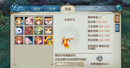 诛仙手游满级后玩什么技能