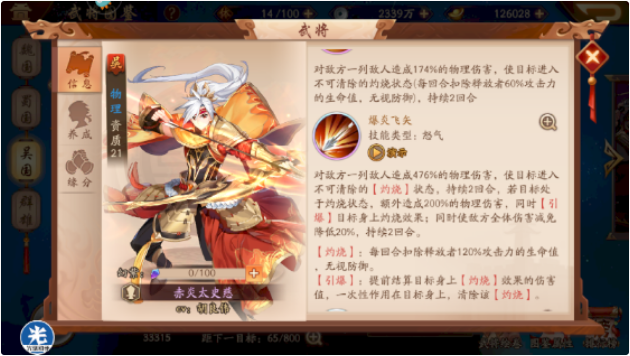 少年三国志2深谋鲁肃怎么搭配
