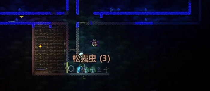 泰拉瑞亚松露虫拿什么抓