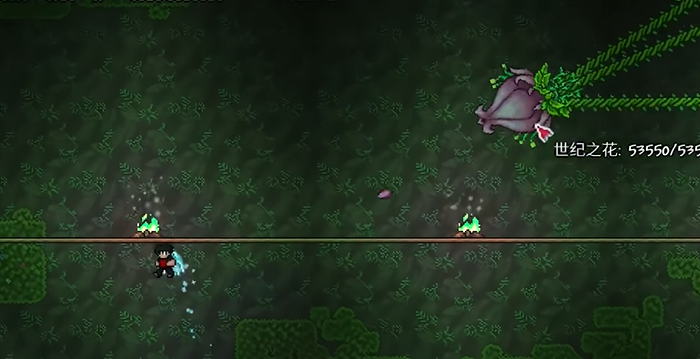 泰拉瑞亚世纪花在哪打