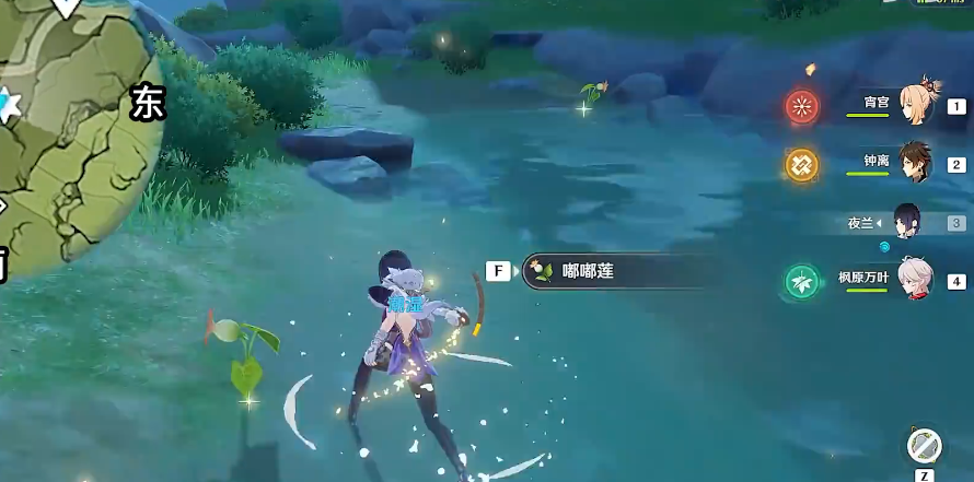 原神怎么找到嘟嘟莲