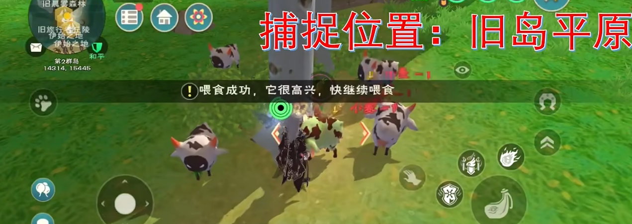 创造与魔法奶牛怎么抓