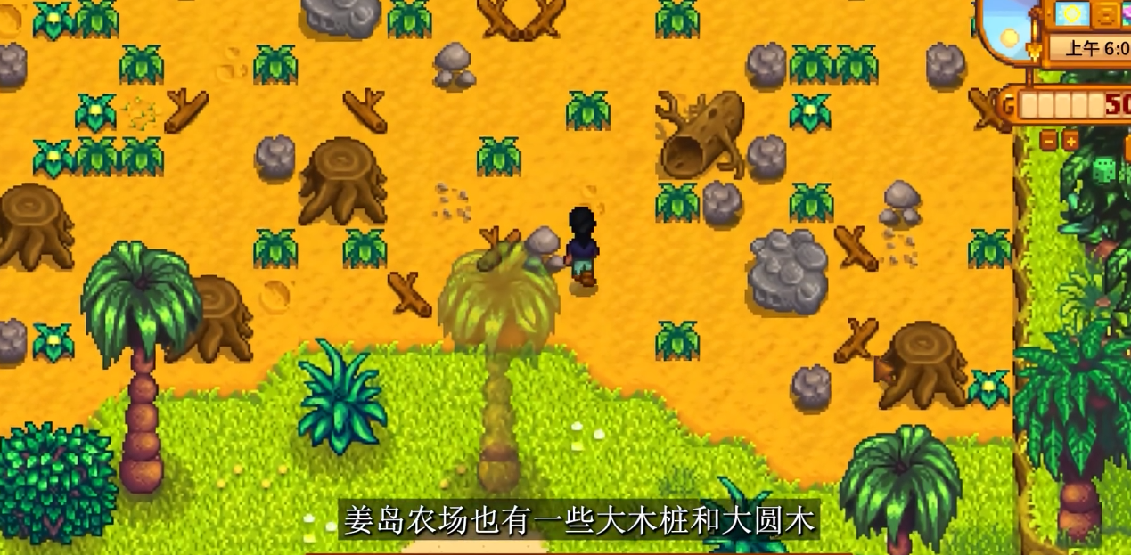 星露谷物语哪里可以获得硬木