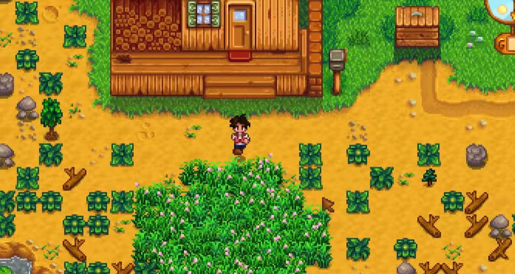 星露谷物语一开始怎么玩 星露谷物语一开始怎么玩