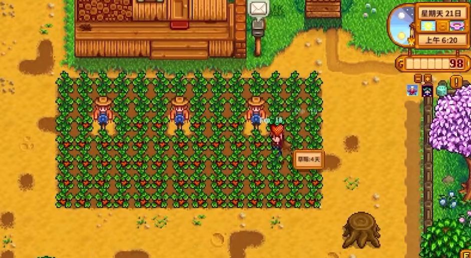 星露谷物语第二年怎么玩