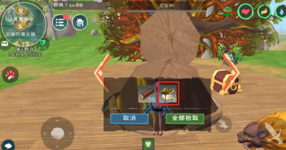 创造与魔法金币怎么获得