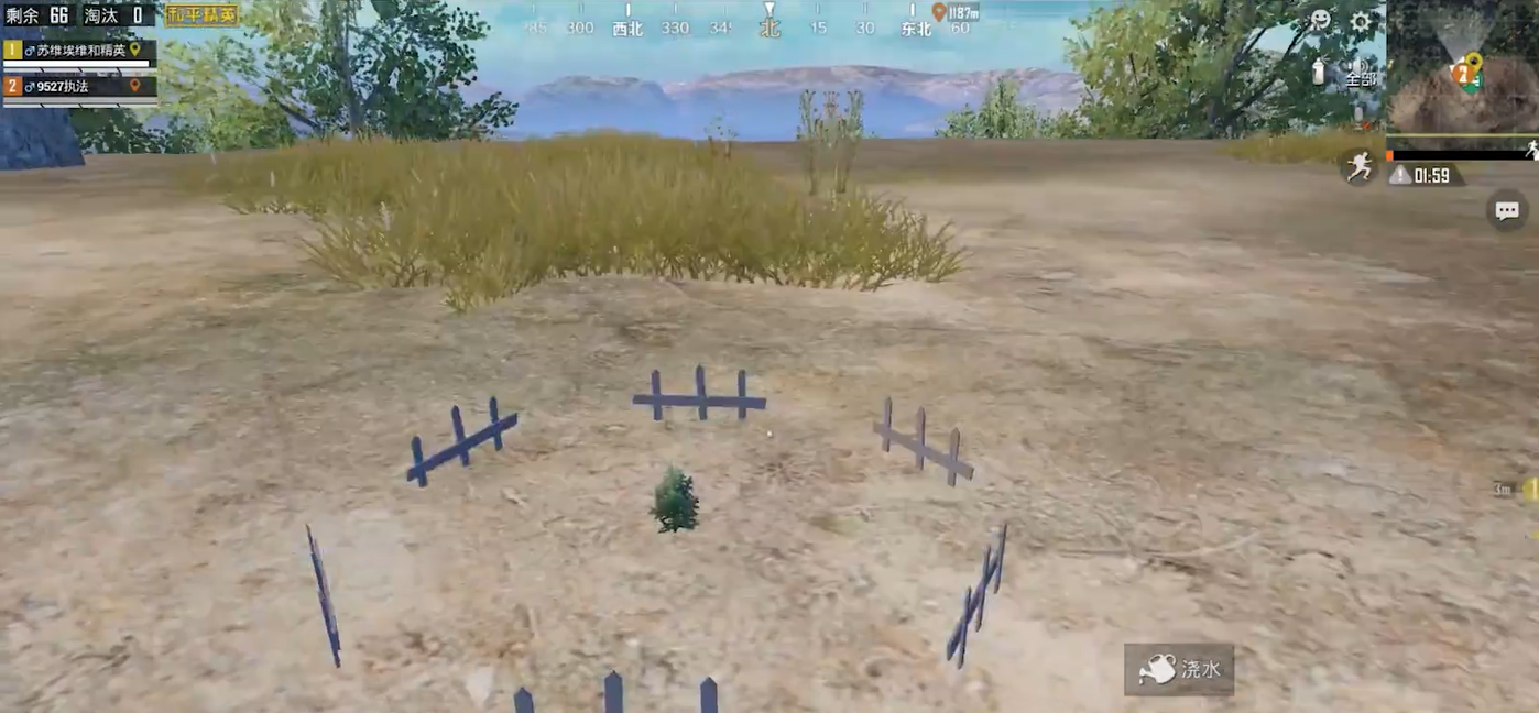 和平精英怎么给树浇水 和平精英怎么给树浇水
