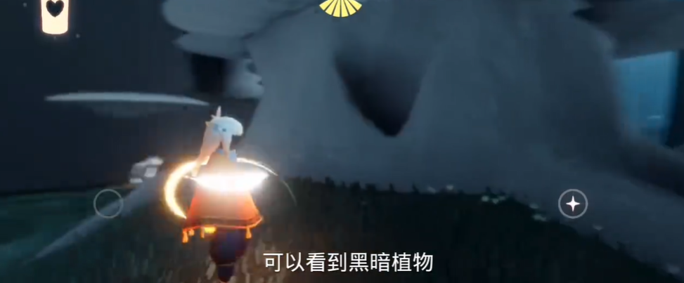 光遇怎么通关雨林