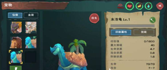 创造与魔法龟壳哪里有