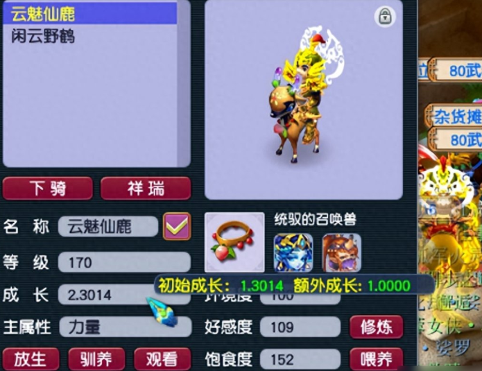 梦幻西游龙族巫师加什么属性