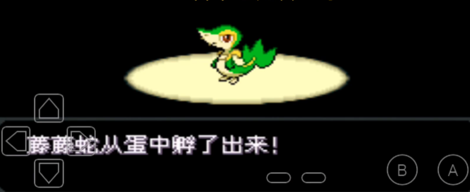 口袋妖怪火红生蛋屋在哪个市