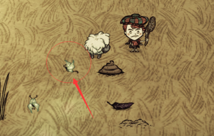 饥荒领养哪个宠物好