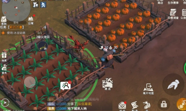 冰原守卫者棉花怎么获得