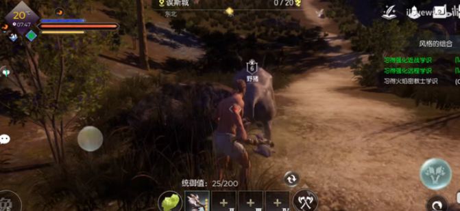 黑暗与光明野猪吃什么东西