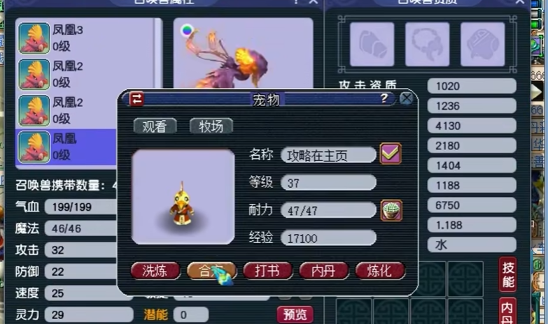 梦幻西游5开盘丝用什么宝宝