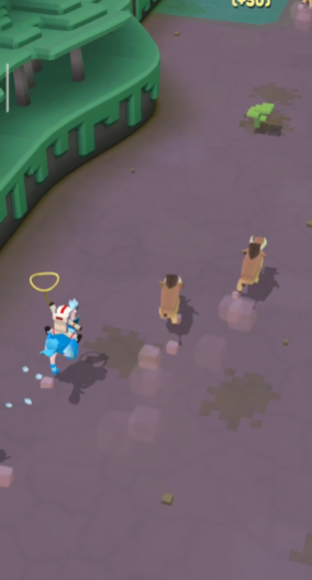 疯狂动物园异形虎怎么抓