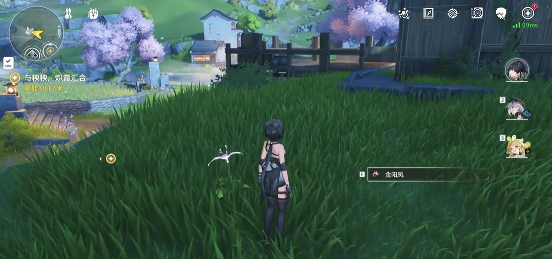 鸣潮金球多少蓝色珊瑚