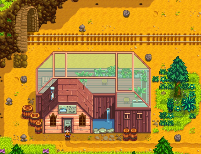 星露谷物语温泉在哪里