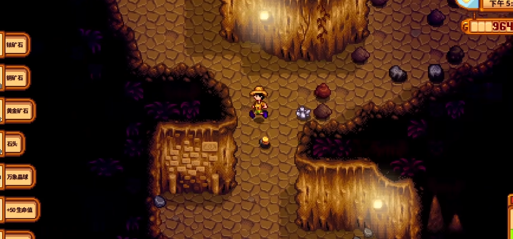 星露谷物语去沙漠准备什么