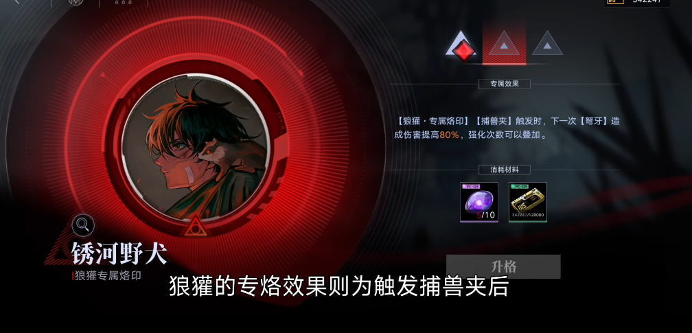 无期迷途狼獾适合培养吗 无期迷途狼獾适合培养吗
